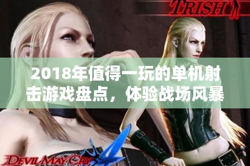 2018年值得一玩的单机射击游戏盘点，体验战场风暴的魅力