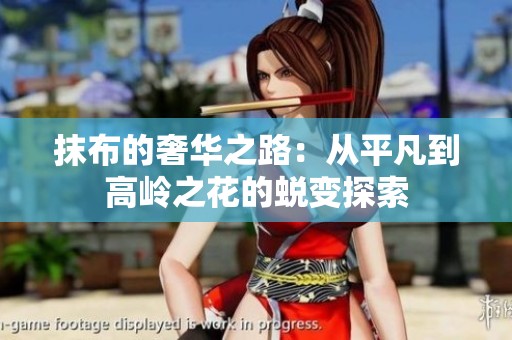 抹布的奢华之路：从平凡到高岭之花的蜕变探索