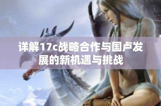 详解17c战略合作与国卢发展的新机遇与挑战