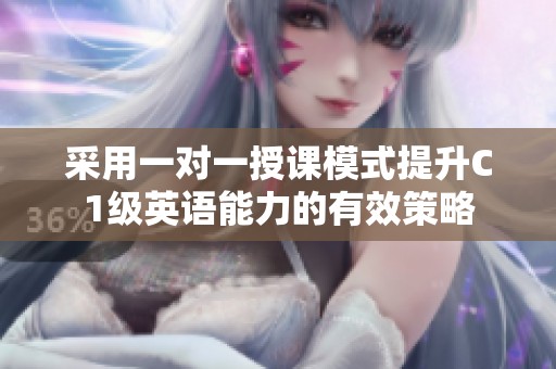 采用一对一授课模式提升C1级英语能力的有效策略
