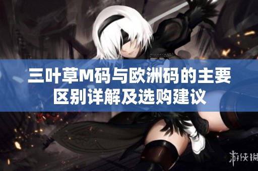 三叶草M码与欧洲码的主要区别详解及选购建议