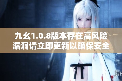 九幺1.0.8版本存在高风险漏洞请立即更新以确保安全