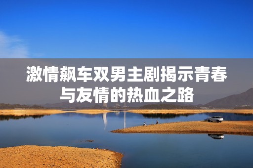 激情飙车双男主剧揭示青春与友情的热血之路
