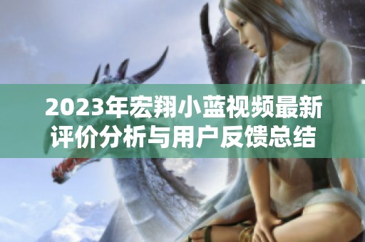2023年宏翔小蓝视频最新评价分析与用户反馈总结