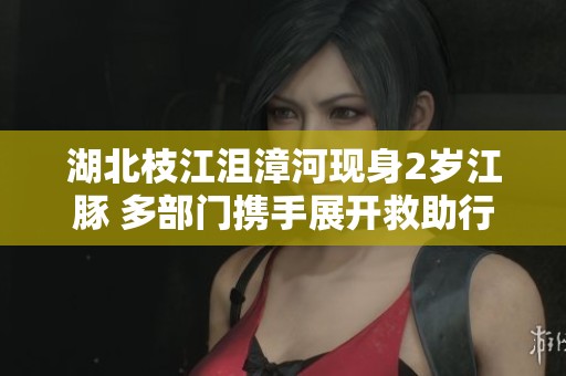 湖北枝江沮漳河现身2岁江豚 多部门携手展开救助行动