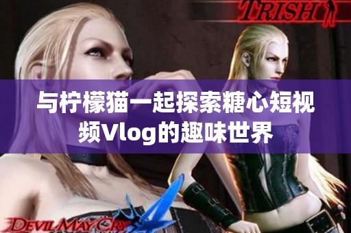与柠檬猫一起探索糖心短视频Vlog的趣味世界