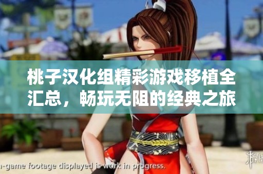 桃子汉化组精彩游戏移植全汇总，畅玩无阻的经典之旅
