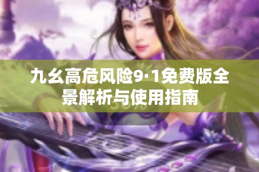 九幺高危风险9·1免费版全景解析与使用指南