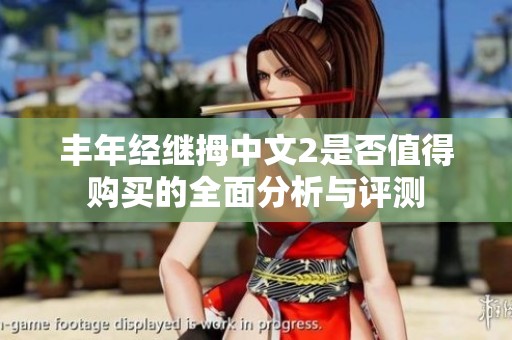 丰年经继拇中文2是否值得购买的全面分析与评测
