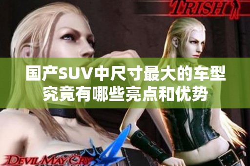 国产SUV中尺寸最大的车型究竟有哪些亮点和优势