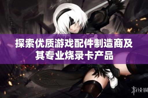 探索优质游戏配件制造商及其专业烧录卡产品