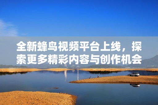 全新蜂鸟视频平台上线，探索更多精彩内容与创作机会