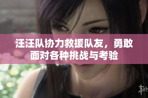 汪汪队协力救援队友，勇敢面对各种挑战与考验