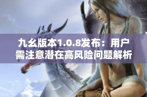 九幺版本1.0.8发布：用户需注意潜在高风险问题解析