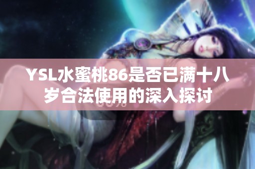 YSL水蜜桃86是否已满十八岁合法使用的深入探讨