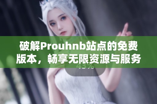 破解Prouhnb站点的免费版本，畅享无限资源与服务