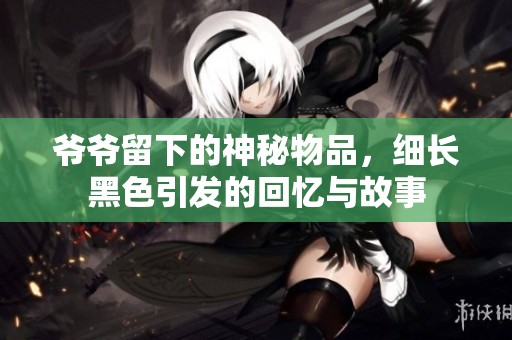 爷爷留下的神秘物品，细长黑色引发的回忆与故事