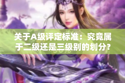 关于A级评定标准：究竟属于二级还是三级别的划分？