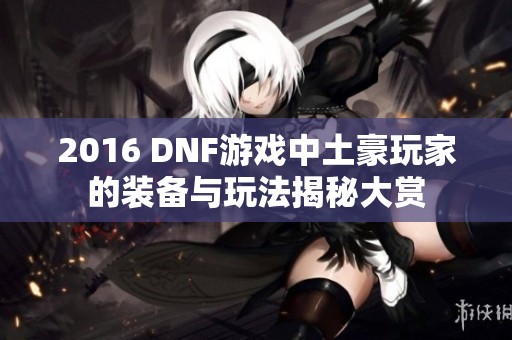 2016 DNF游戏中土豪玩家的装备与玩法揭秘大赏
