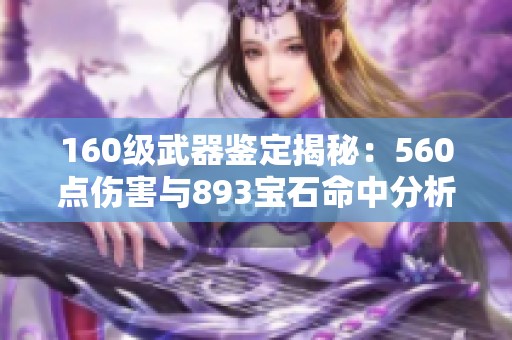 160级武器鉴定揭秘：560点伤害与893宝石命中分析