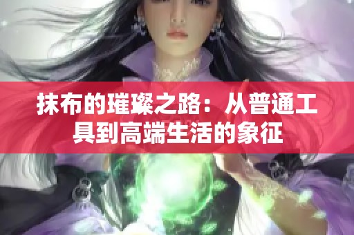 抹布的璀璨之路：从普通工具到高端生活的象征