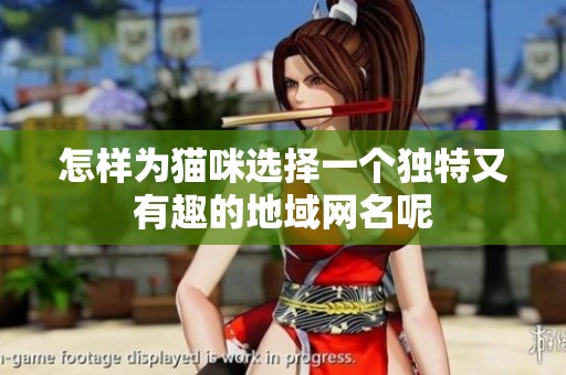 怎样为猫咪选择一个独特又有趣的地域网名呢