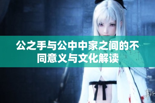 公之手与公中中家之间的不同意义与文化解读