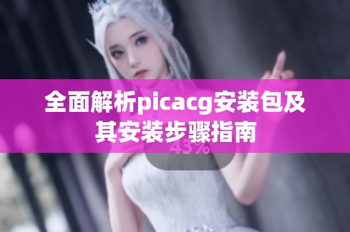 全面解析picacg安装包及其安装步骤指南