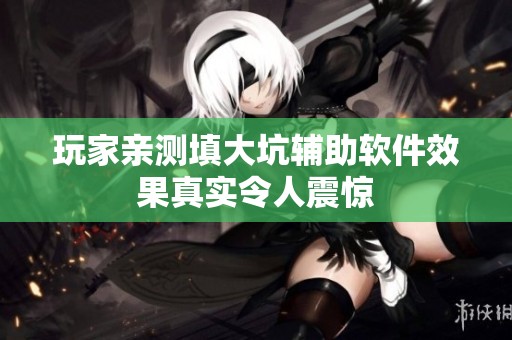 玩家亲测填大坑辅助软件效果真实令人震惊