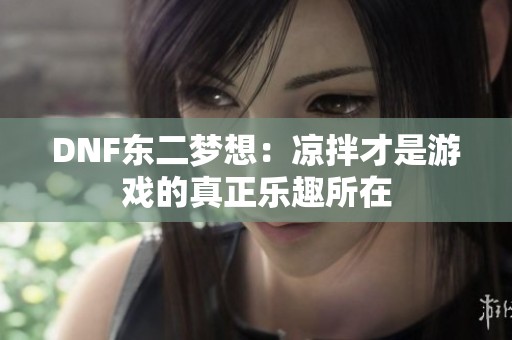 DNF东二梦想：凉拌才是游戏的真正乐趣所在