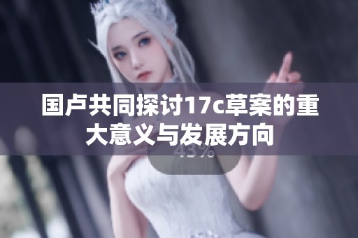 国卢共同探讨17c草案的重大意义与发展方向
