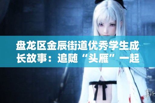 盘龙区金辰街道优秀学生成长故事：追随“头雁”一起飞向未来