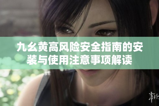 九幺黄高风险安全指南的安装与使用注意事项解读