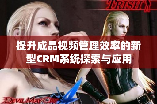 提升成品视频管理效率的新型CRM系统探索与应用