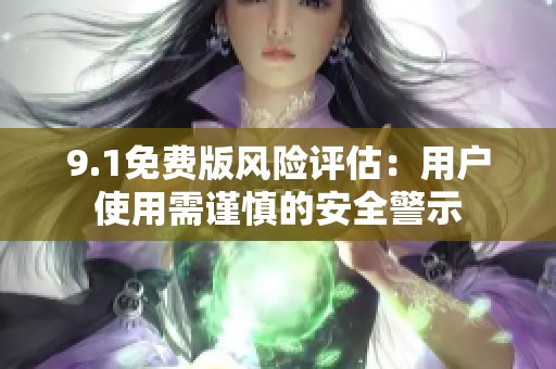 9.1免费版风险评估：用户使用需谨慎的安全警示
