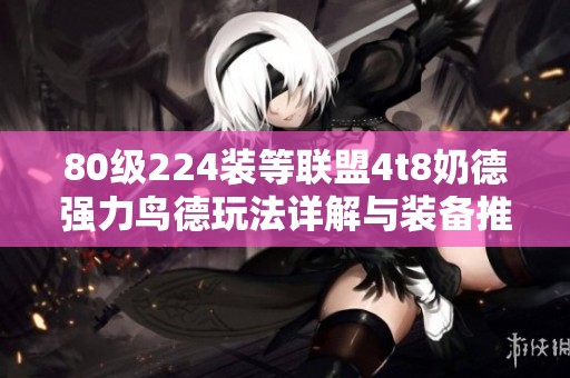 80级224装等联盟4t8奶德强力鸟德玩法详解与装备推荐