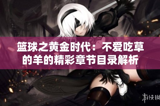 篮球之黄金时代：不爱吃草的羊的精彩章节目录解析