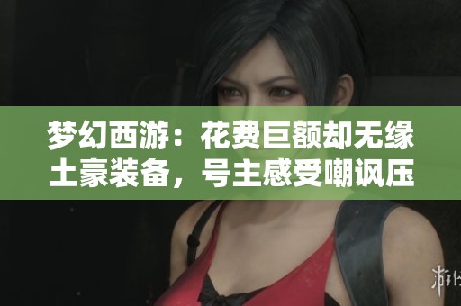梦幻西游：花费巨额却无缘土豪装备，号主感受嘲讽压力