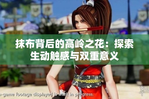 抹布背后的高岭之花：探索生动触感与双重意义