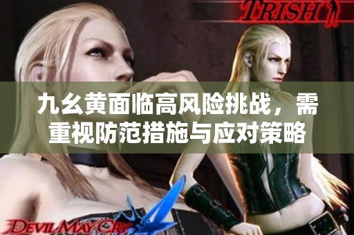 九幺黄面临高风险挑战，需重视防范措施与应对策略