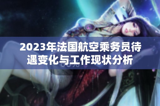 2023年法国航空乘务员待遇变化与工作现状分析
