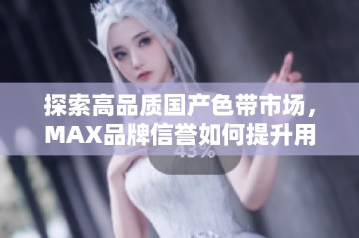 探索高品质国产色带市场，MAX品牌信誉如何提升用户体验