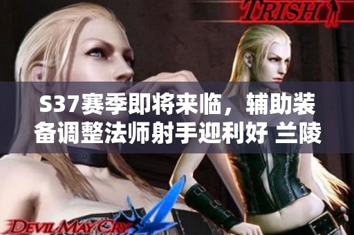 S37赛季即将来临，辅助装备调整法师射手迎利好 兰陵王遭重创