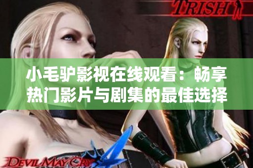 小毛驴影视在线观看：畅享热门影片与剧集的最佳选择