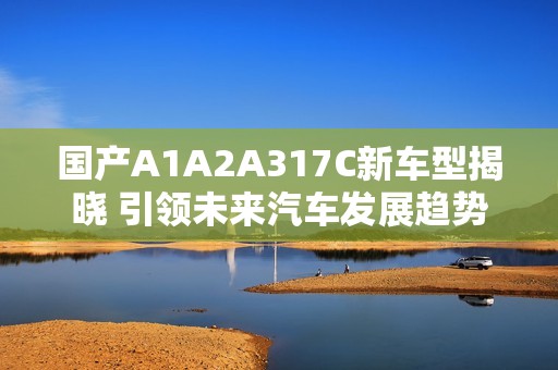 国产A1A2A317C新车型揭晓 引领未来汽车发展趋势