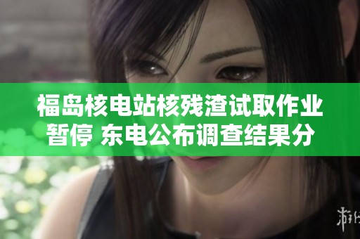 福岛核电站核残渣试取作业暂停 东电公布调查结果分析