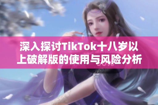 深入探讨TikTok十八岁以上破解版的使用与风险分析