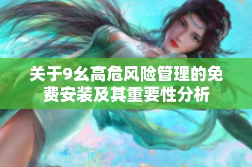 关于9幺高危风险管理的免费安装及其重要性分析