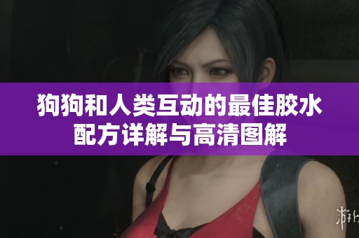 狗狗和人类互动的最佳胶水配方详解与高清图解