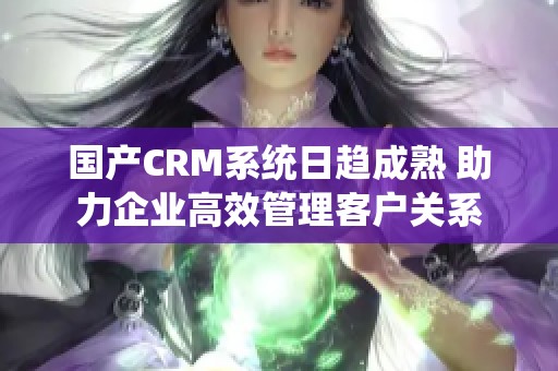 国产CRM系统日趋成熟 助力企业高效管理客户关系